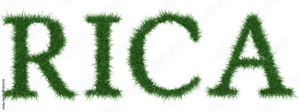 Rica - 3D rendering fresh Grass letters isolated on whhite background. Rica - 3D rendering fresh Grass letters isolated on whhite background.