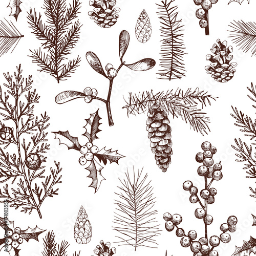 Vector pattern with hand-drawn Christmas plants .