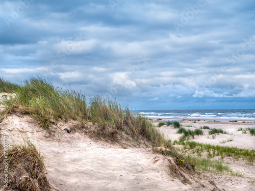 Coastal sand dune - Slowinski National Park, Poland © Roman Milert