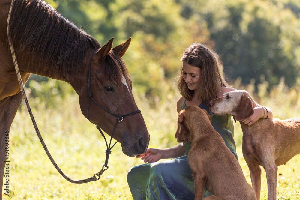 Hübsches Mädchen mit Pferd und Hunden - obrazy, fototapety, plakaty 