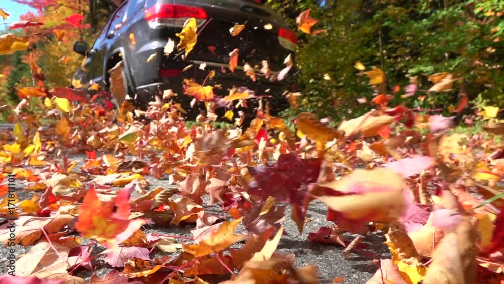 SLOW MOTION CLOSE UP: Black SUV car driving on empty forest road over bright autumn leaves. Colorful fall foliage dancing behind a car driving over on forest road. Car swirling beautiful autumn leaves