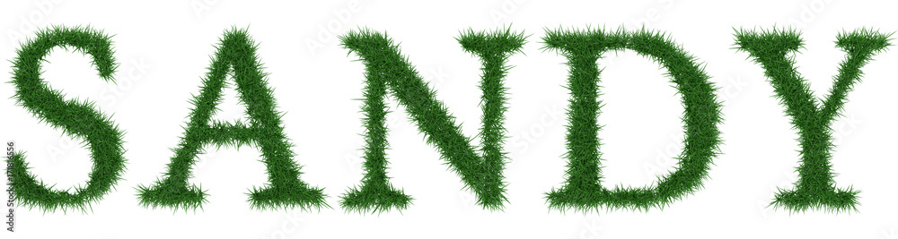 Sandy - 3D rendering fresh Grass letters isolated on whhite background. Sandy - 3D rendering fresh Grass letters isolated on whhite background.