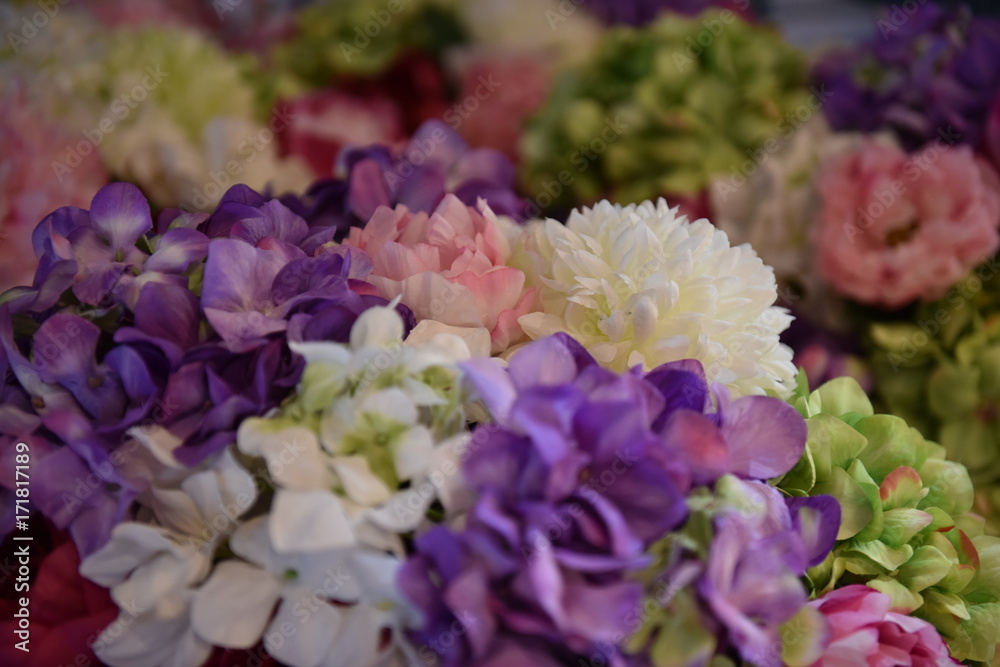 flower flower