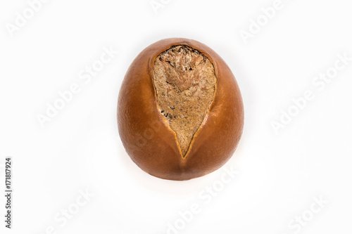 Shea nuts, Vitellaria paradoxa.