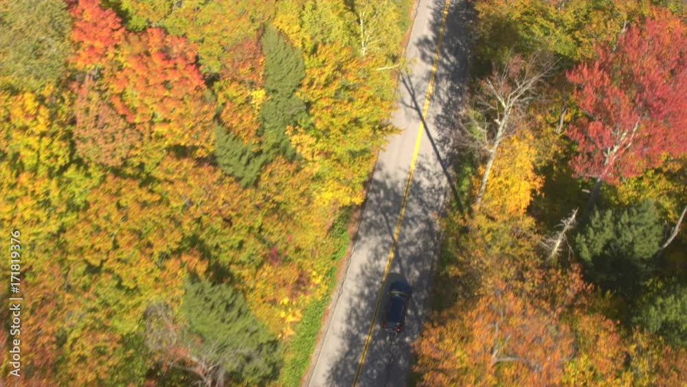 AERIAL TOP DOWN: Black SUV car driving the empty road leading through colorful forest on sunny autumn day. Jeep car on leaf peeping road trip driving through autumn forest in sunny fall. Nature drive AERIAL TOP DOWN: Black SUV car driving the empty road leading through colorful forest on sunny autumn day. Jeep car on leaf peeping road trip driving through autumn forest in sunny fall. Nature drive