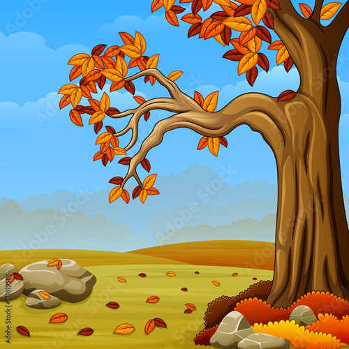 Beautiful autumn landscape
