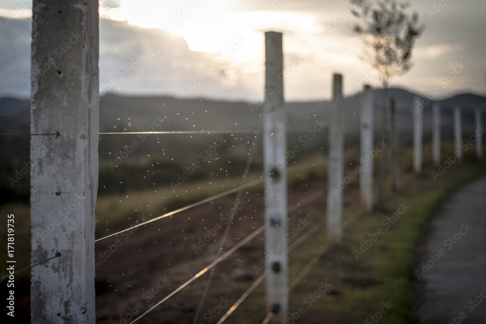 Fototapeta premium Country side