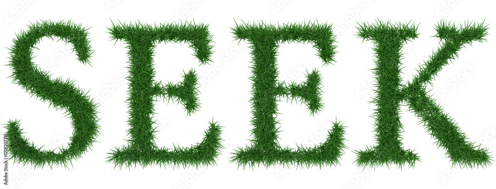 Seek - 3D rendering fresh Grass letters isolated on whhite background. Seek - 3D rendering fresh Grass letters isolated on whhite background.