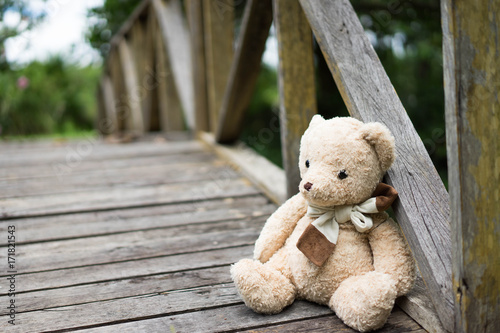 Teddy Bear On a wooden bridge in the garden