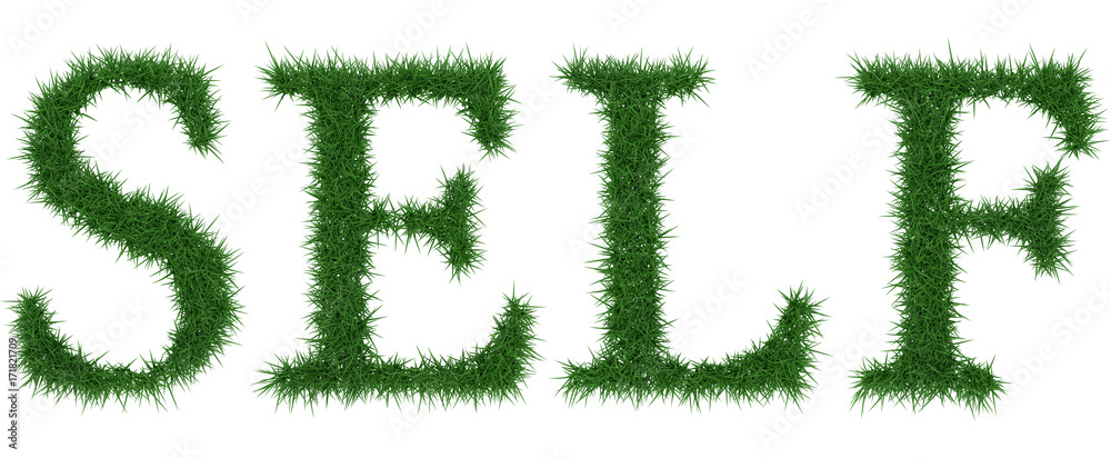 Self - 3D rendering fresh Grass letters isolated on whhite background. Self - 3D rendering fresh Grass letters isolated on whhite background.