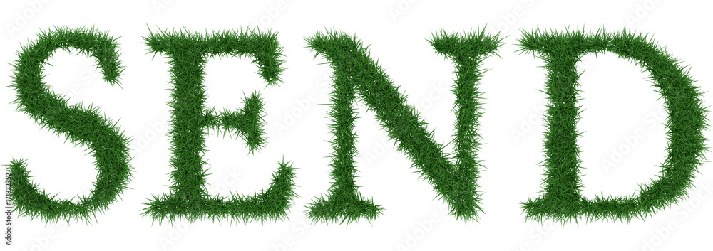 Send - 3D rendering fresh Grass letters isolated on whhite background. Send - 3D rendering fresh Grass letters isolated on whhite background.