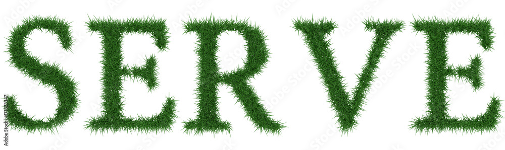 Fototapeta premium Serve - 3D rendering fresh Grass letters isolated on whhite background.