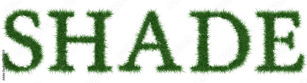 Shade - 3D rendering fresh Grass letters isolated on whhite background. Shade - 3D rendering fresh Grass letters isolated on whhite background.