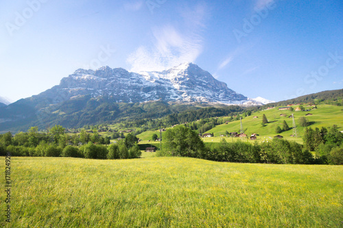 Green field of Mt. Titlis, Switzerland From the viewpoint  360 degree panoramic, the popular tourist attractions of Switzerland. © oopoontongoo