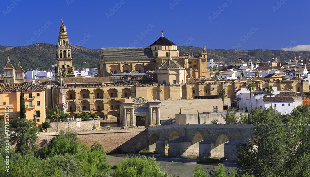 Cordoba skyline, Spain. The Roman Bridge and Mosque (Cathedral) on the Guadalquivir River