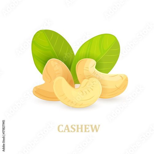 group of cashews with leaves on white background for your design