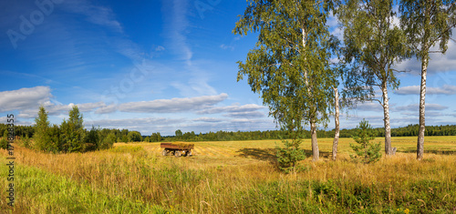 autumn rural landscape panorama, field, forest, blue sky and white clouds