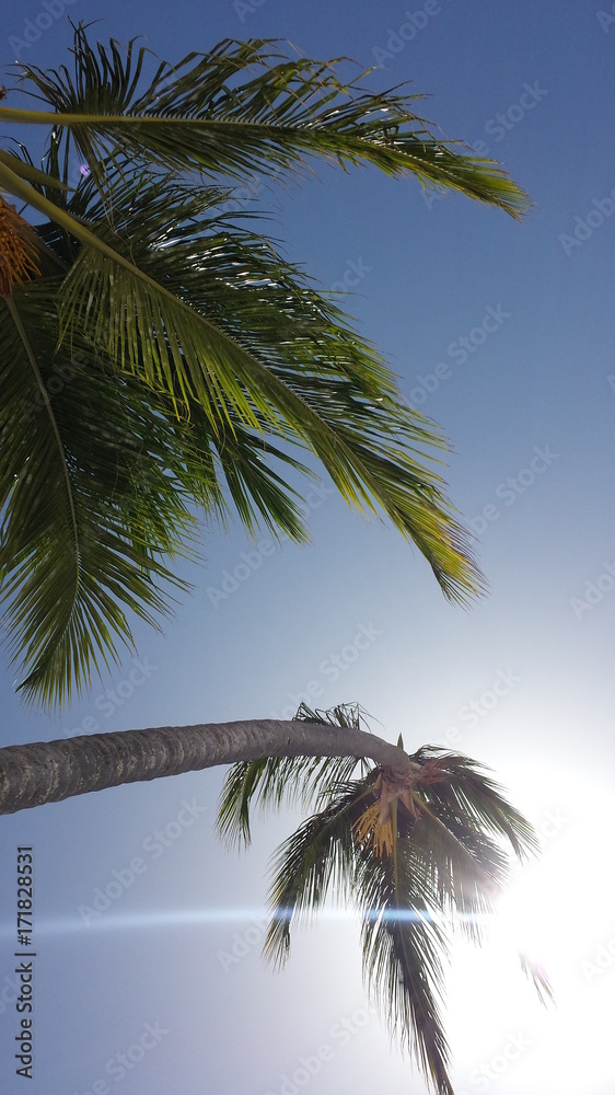 Fototapeta premium Beautiful and unique landscape of Dominican Republic