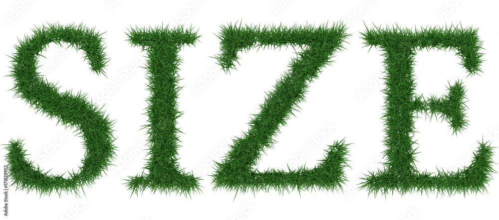 Size - 3D rendering fresh Grass letters isolated on whhite background. Size - 3D rendering fresh Grass letters isolated on whhite background.