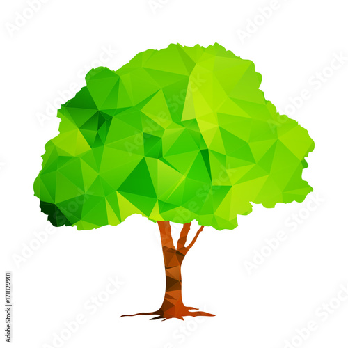 Green polygonal tree isolated on white background vector