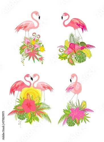 Beautiful design collection with exotic floral bouquets and flamingo