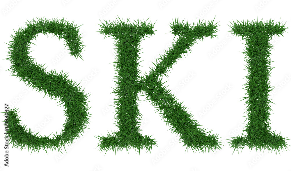 Ski - 3D rendering fresh Grass letters isolated on whhite background. Ski - 3D rendering fresh Grass letters isolated on whhite background.