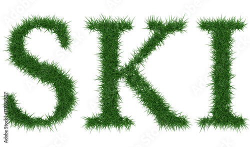 Ski - 3D rendering fresh Grass letters isolated on whhite background.