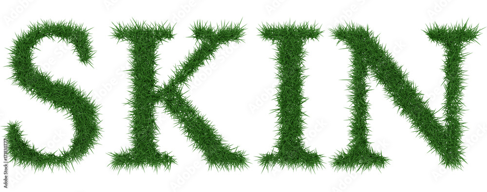 Skin - 3D rendering fresh Grass letters isolated on whhite background. Skin - 3D rendering fresh Grass letters isolated on whhite background.