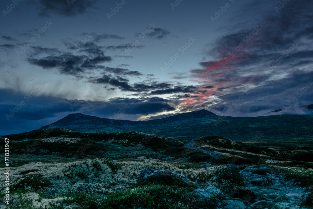The moss and bushes at sunset in the Rondane National Park in Norway - 5
