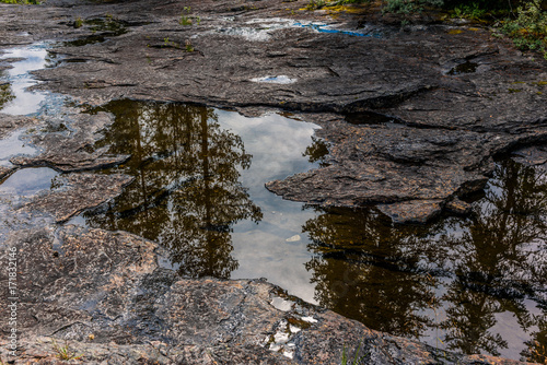 Reflections in a water puddle in a national park in Norway