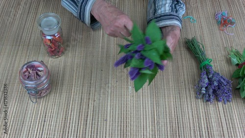 Senior woman herbalist hands binding fresh anise hyssop Agastache fenicula bunch for dry on table

