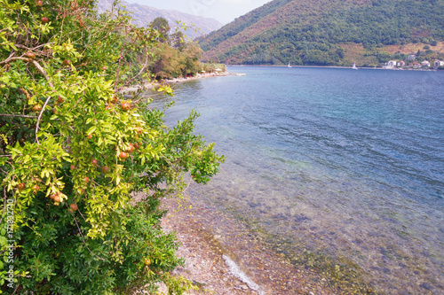 View of the Kotor Bay of the Adriatic Sea on a calm autumn day. Montenegro photo