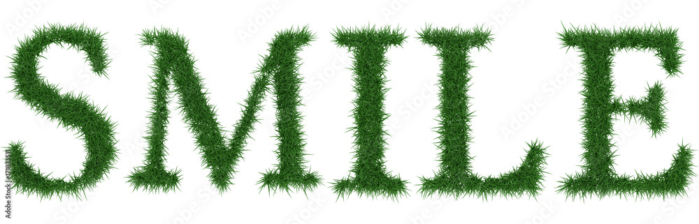 Smile - 3D rendering fresh Grass letters isolated on whhite background. Smile - 3D rendering fresh Grass letters isolated on whhite background.