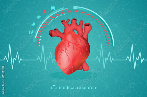 Medical research of human health. Vector drawing of an anatomically true human heart on a futuristic background.