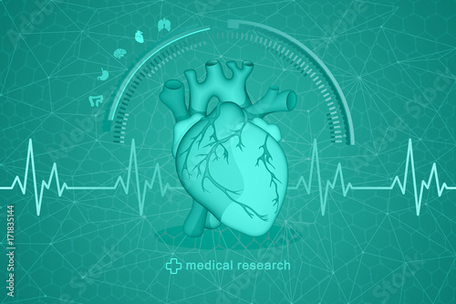 Medical research of human health. Vector drawing of an anatomically true human heart on a futuristic background.