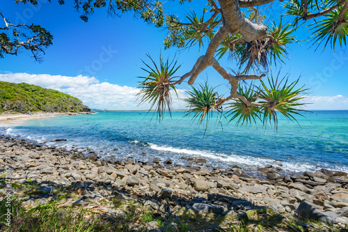 Fototapeta Naklejka Na Ścianę i Meble -  Beautiful day with blue sky on the coastline of Noosa National Park, Noosa, Queensland, Australia.