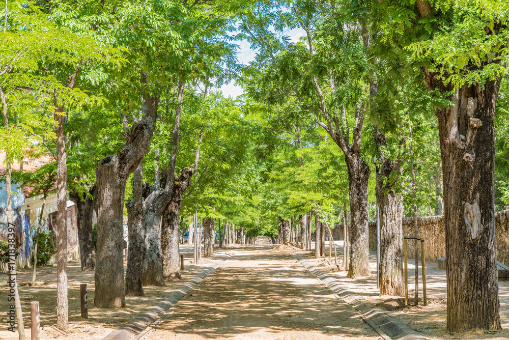 Road to the Royal Site of San Lorenzo de El Escorial, Spain Road to the Royal Site of San Lorenzo de El Escorial, Spain