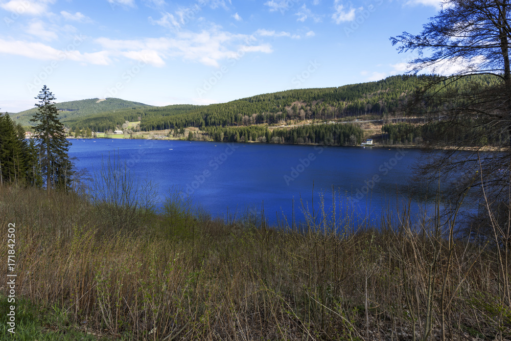 Fototapeta premium Titisee