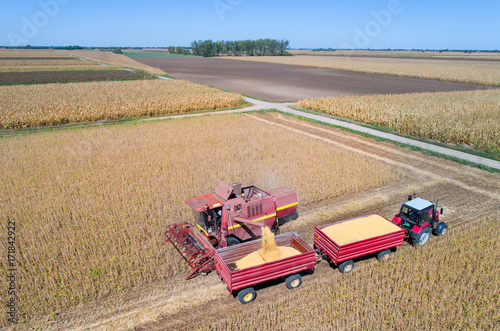 Soybean harvest shoot from drone photo