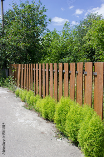 Brown wooden fence with green shrubs bushes in countryside