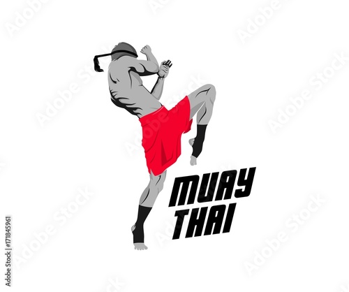 muay thai martial arts