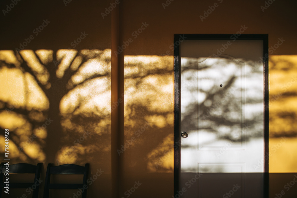 Fototapeta premium Shadow of the tree on yellow wall and door.