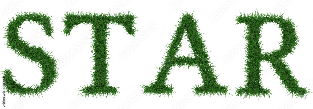 Star - 3D rendering fresh Grass letters isolated on whhite background. Star - 3D rendering fresh Grass letters isolated on whhite background.