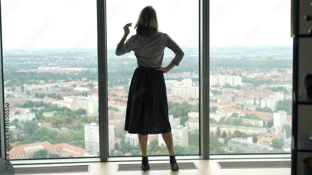 Young businesswoman admire view form window in office
Young businesswoman admire view form window in office