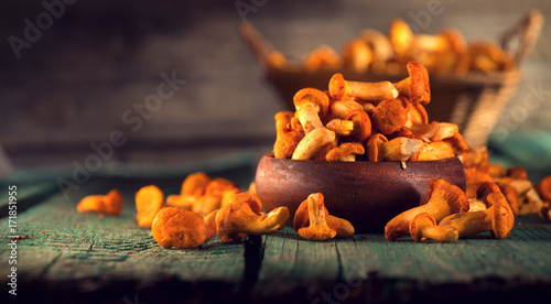 Raw wild chanterelles mushrooms in a bowl over old rustic background
