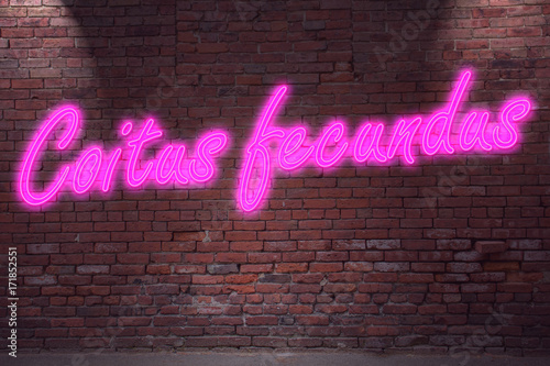 Leuchtreklame Coitus fecundus an Ziegelsteinmauer