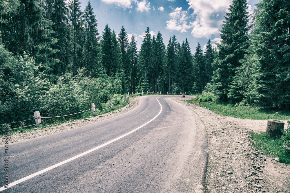 Fototapeta premium asphalt road through the forest in the mountains