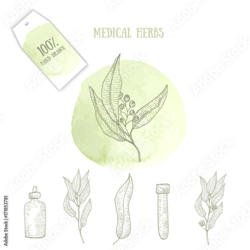 Sketch Logo for botanist, environmental, organic medicine, alternative cure with herbs, bottles on green watercolor stain