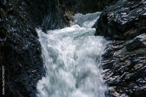 Spring water, mountain river. Slovenia