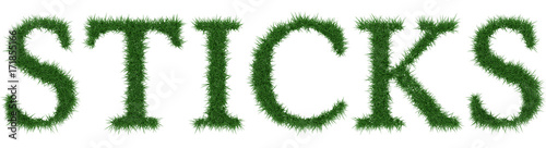 Sticks - 3D rendering fresh Grass letters isolated on whhite background.